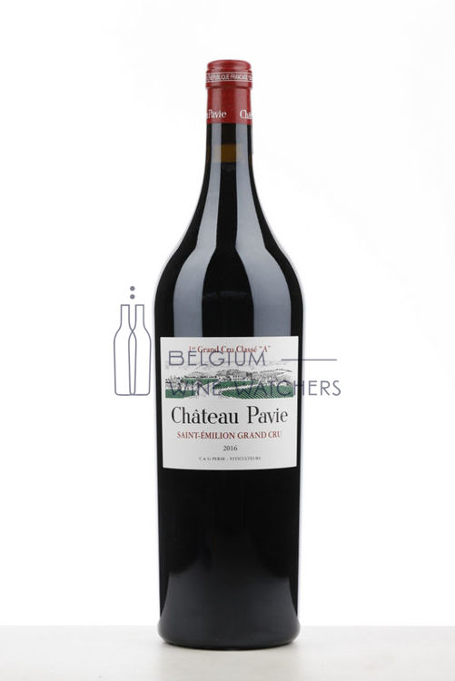 Afbeeldingen van 2016 PAVIE